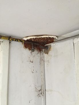 Damp mould waterproofing