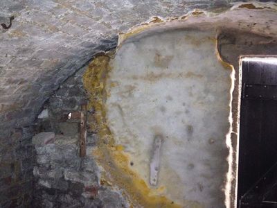 mould damp waterproofing rotting
