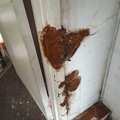water damage to property