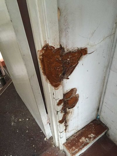 water damage to property