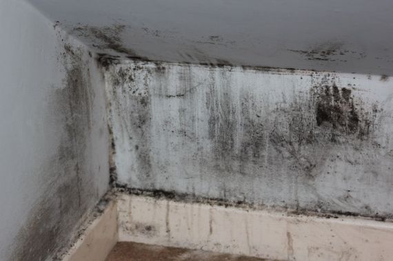CPM Waterproofing Services Ltd