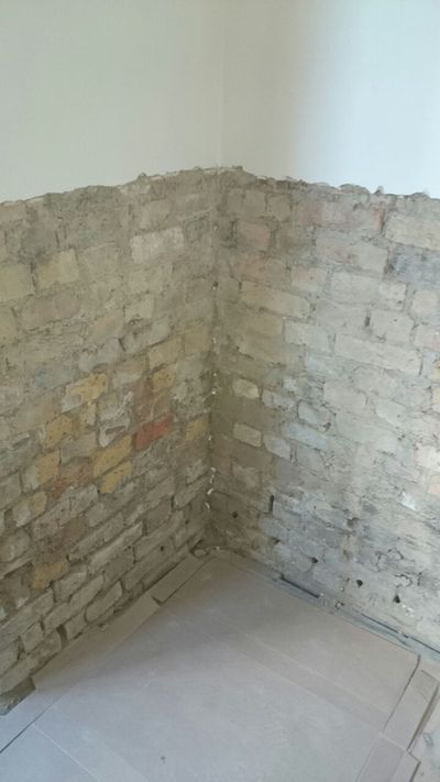 wall damp putney