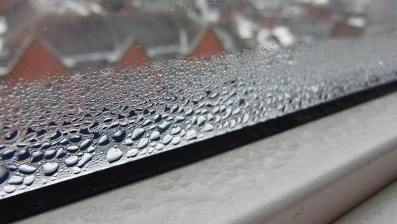 condensation on window