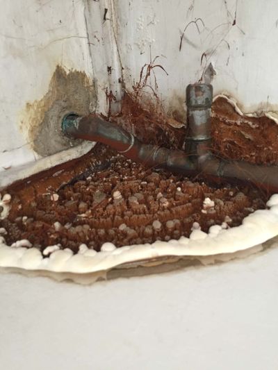 The type of damp that we deal with.