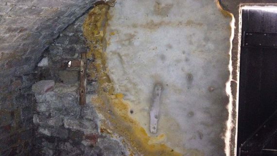 mould damp waterproofing rotting
