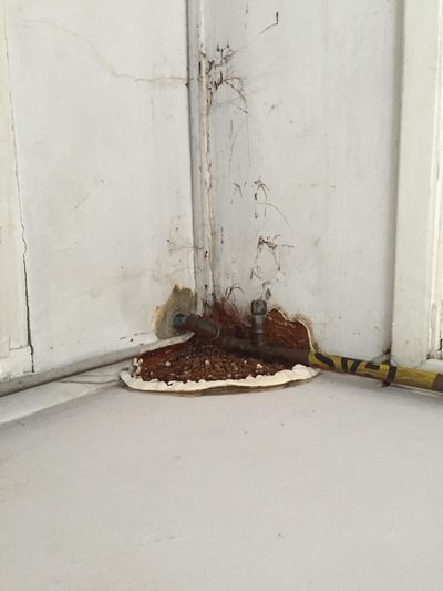 Damp mould waterproofing